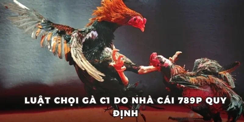 Luật chọi gà C1 do nhà cái 789P quy định