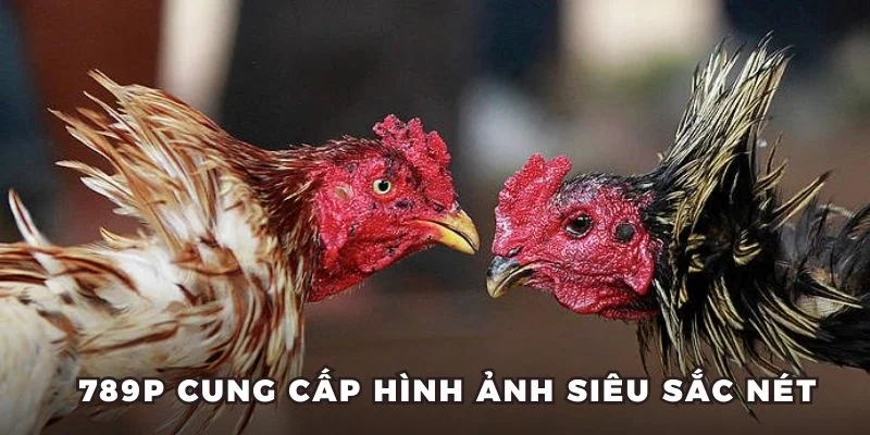 789P cung cấp hình ảnh siêu sắc nét